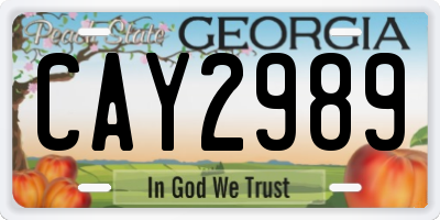 GA license plate CAY2989