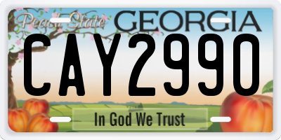 GA license plate CAY2990
