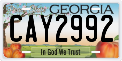 GA license plate CAY2992