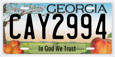 GA license plate CAY2994