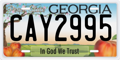 GA license plate CAY2995