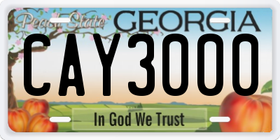 GA license plate CAY3000
