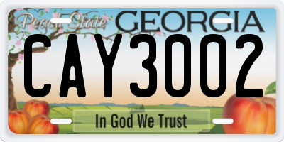 GA license plate CAY3002