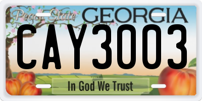 GA license plate CAY3003