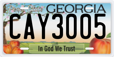 GA license plate CAY3005