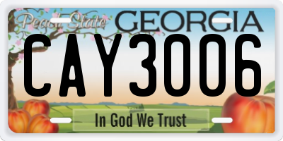 GA license plate CAY3006