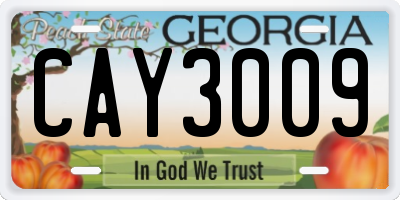 GA license plate CAY3009