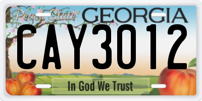 GA license plate CAY3012