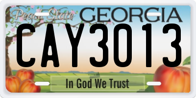 GA license plate CAY3013