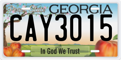 GA license plate CAY3015