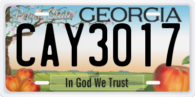 GA license plate CAY3017
