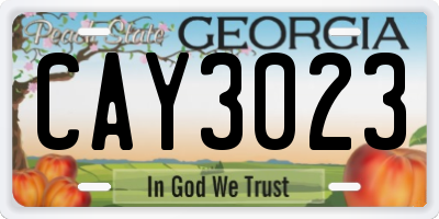 GA license plate CAY3023