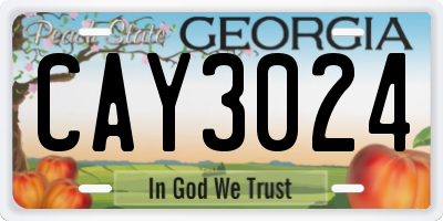 GA license plate CAY3024