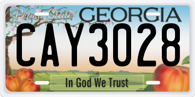 GA license plate CAY3028
