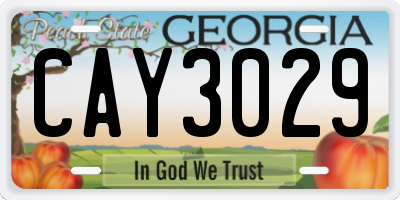GA license plate CAY3029