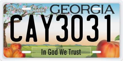GA license plate CAY3031