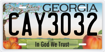 GA license plate CAY3032