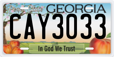 GA license plate CAY3033