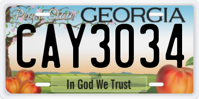 GA license plate CAY3034