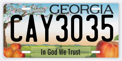 GA license plate CAY3035