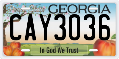 GA license plate CAY3036