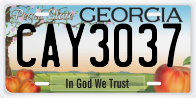 GA license plate CAY3037