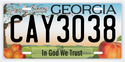 GA license plate CAY3038