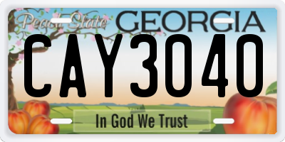 GA license plate CAY3040