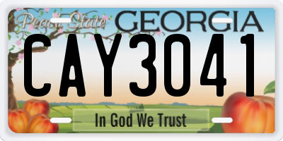 GA license plate CAY3041