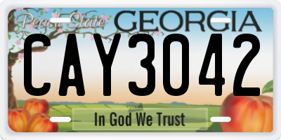 GA license plate CAY3042
