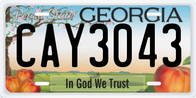 GA license plate CAY3043