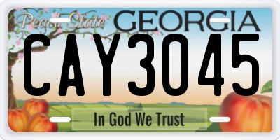 GA license plate CAY3045