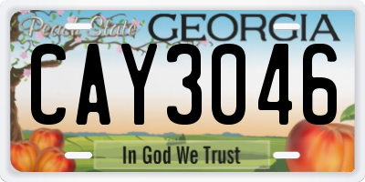 GA license plate CAY3046