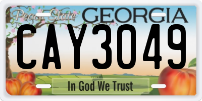 GA license plate CAY3049