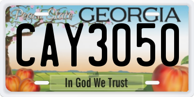GA license plate CAY3050