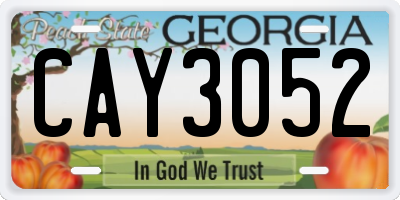 GA license plate CAY3052