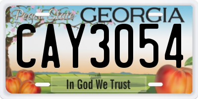 GA license plate CAY3054