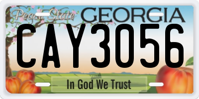 GA license plate CAY3056