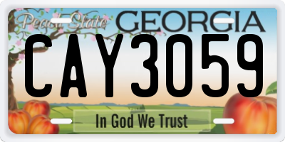 GA license plate CAY3059