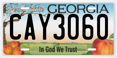 GA license plate CAY3060