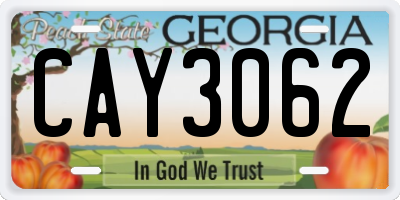 GA license plate CAY3062