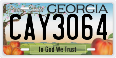 GA license plate CAY3064