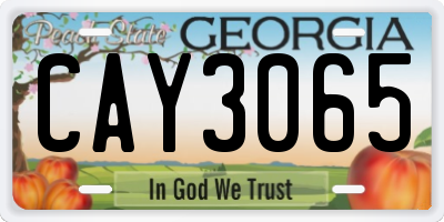 GA license plate CAY3065