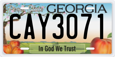 GA license plate CAY3071
