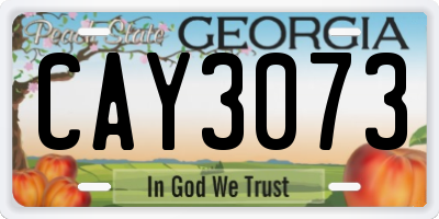 GA license plate CAY3073