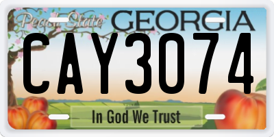 GA license plate CAY3074