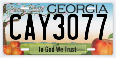 GA license plate CAY3077