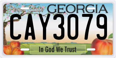 GA license plate CAY3079
