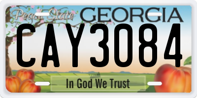 GA license plate CAY3084