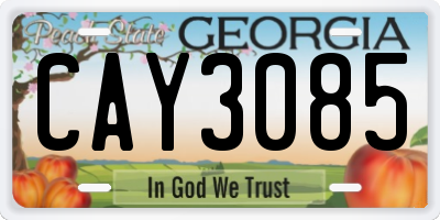 GA license plate CAY3085